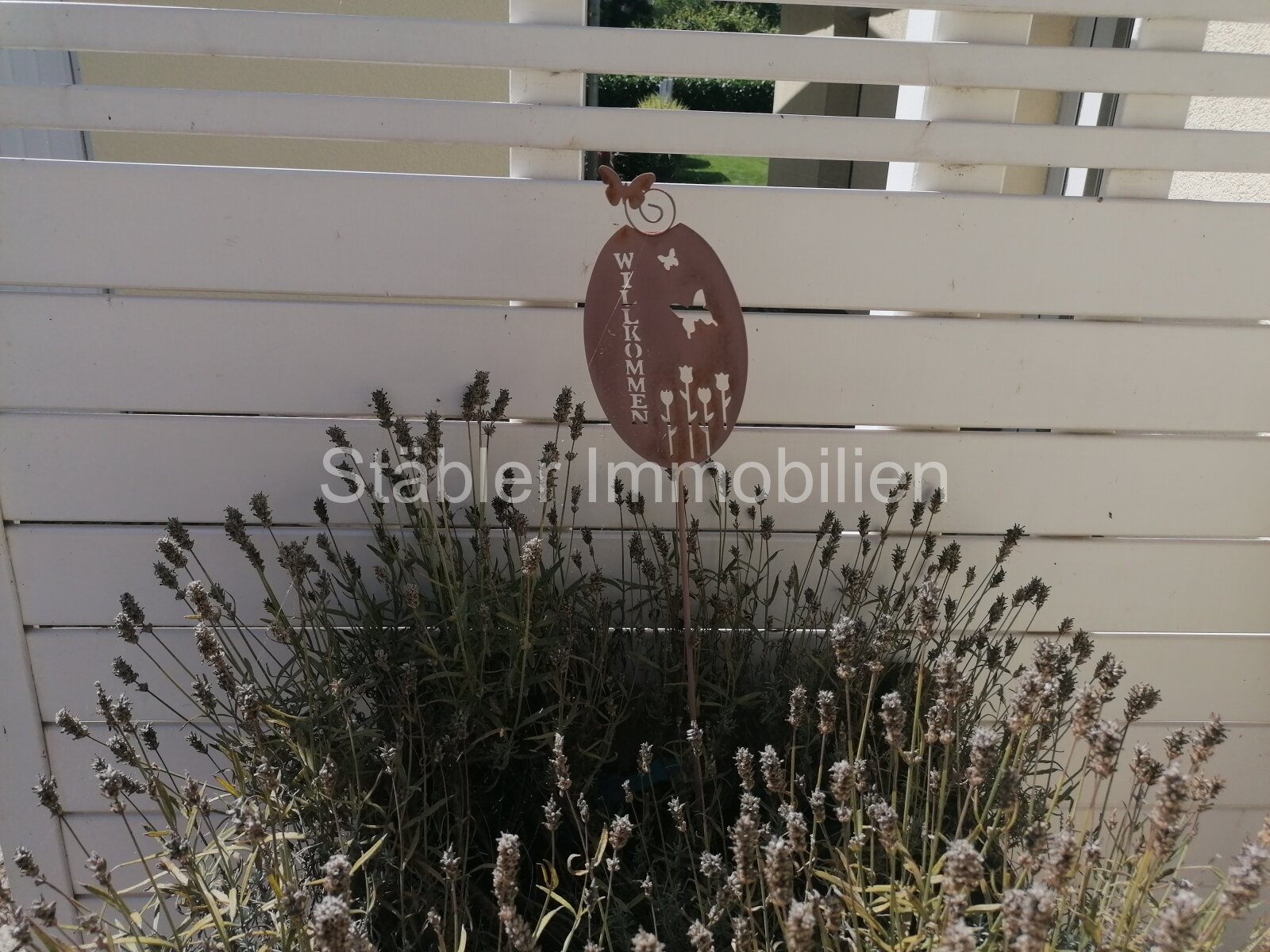 Ihr neues Zuhause- mit Pool und fußläufig zum Markkleeberger See 